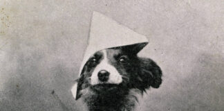 Vinicio Capossela: “Conciati per le feste” in Italia e in Europa SCIUSTEN FESTE N.1965 è il nuovo album di Capossela. In copertina un cane con un cappello